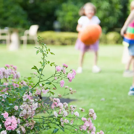 Novotel Due Hotell 4*